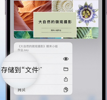 潞城apple维修中心分享iPhone文件应用中存储和找到下载文件