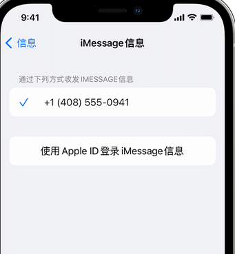 潞城apple维修iPhone上无法正常发送iMessage信息 