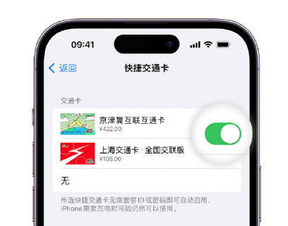 潞城apple维修点分享iPhone上更换Apple Pay快捷交通卡手绘卡面 