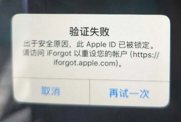 潞城iPhone维修分享iPhone上正常登录或使用AppleID怎么办 