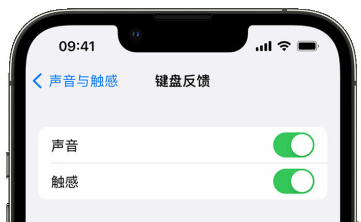 潞城苹果手机维修分享iPhone 14触感键盘使用方法 