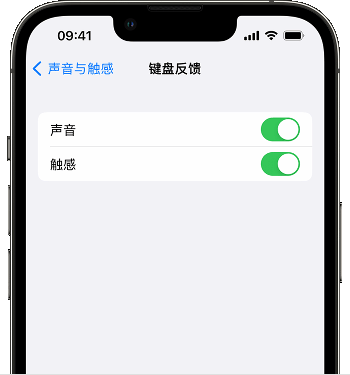 潞城苹果14维修店分享如何在 iPhone 14 机型中使用触感键盘 