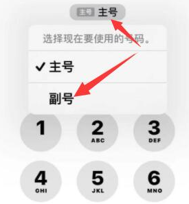 潞城苹果14维修店分享iPhone 14 Pro Max使用副卡打电话的方法 