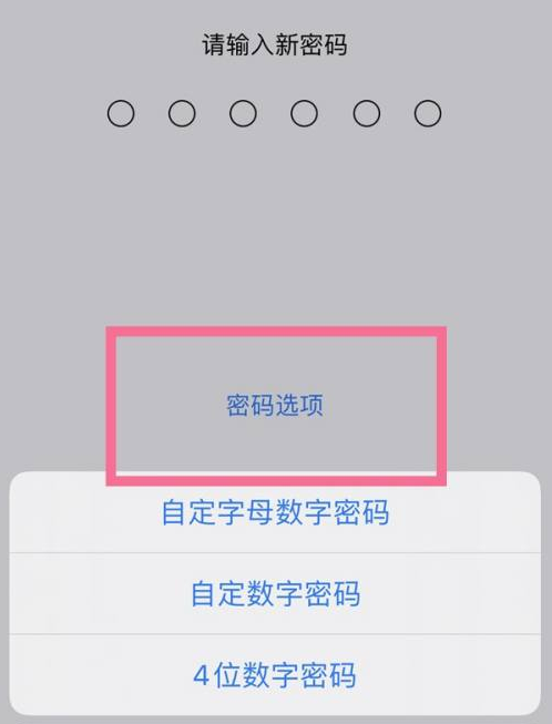 潞城苹果14维修分享iPhone 14plus设置密码的方法 