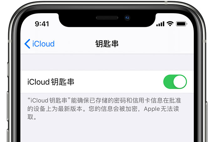 潞城苹果手机维修分享在 iPhone 上开启 iCloud 钥匙串之后会储存哪些信息 