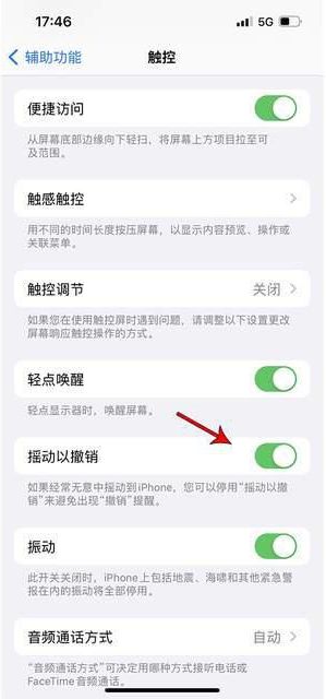 潞城苹果手机维修分享iPhone手机如何设置摇一摇删除文字 