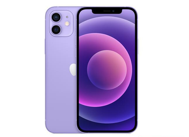 潞城苹果手机维修分享现阶段要不要入手紫色版iPhone12 