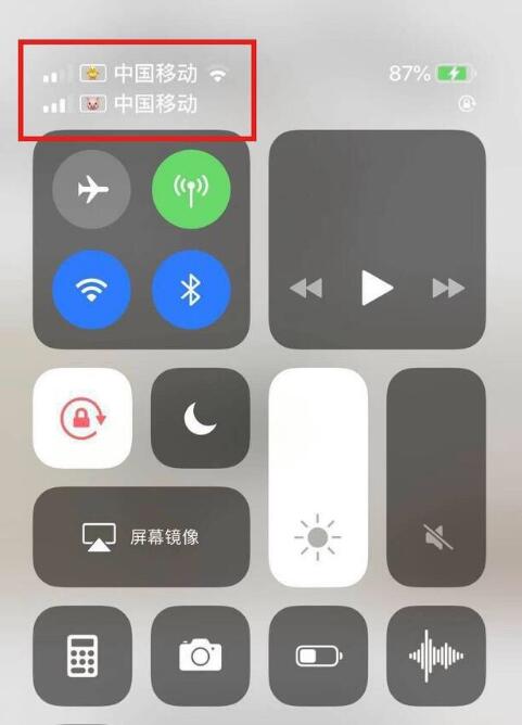 潞城苹果手机维修分享为 iPhone 12 双卡设置标签 